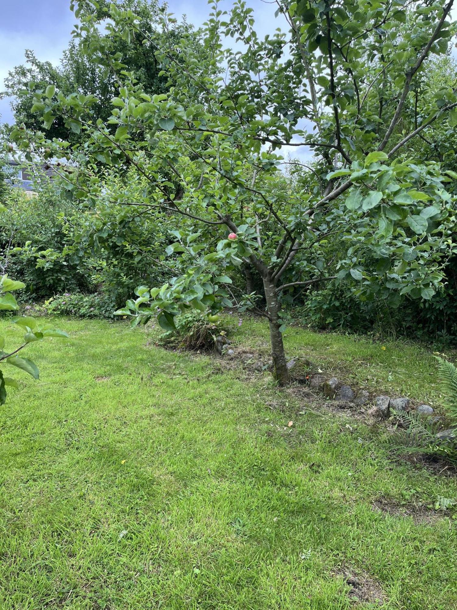 Apple Cottage Newton Stewart Exterior photo